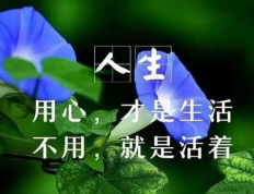 梦想一直都在，要照顾好它。